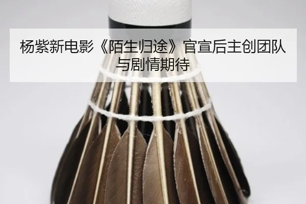 杨紫新电影《陌生归途》官宣后主创团队与剧情期待